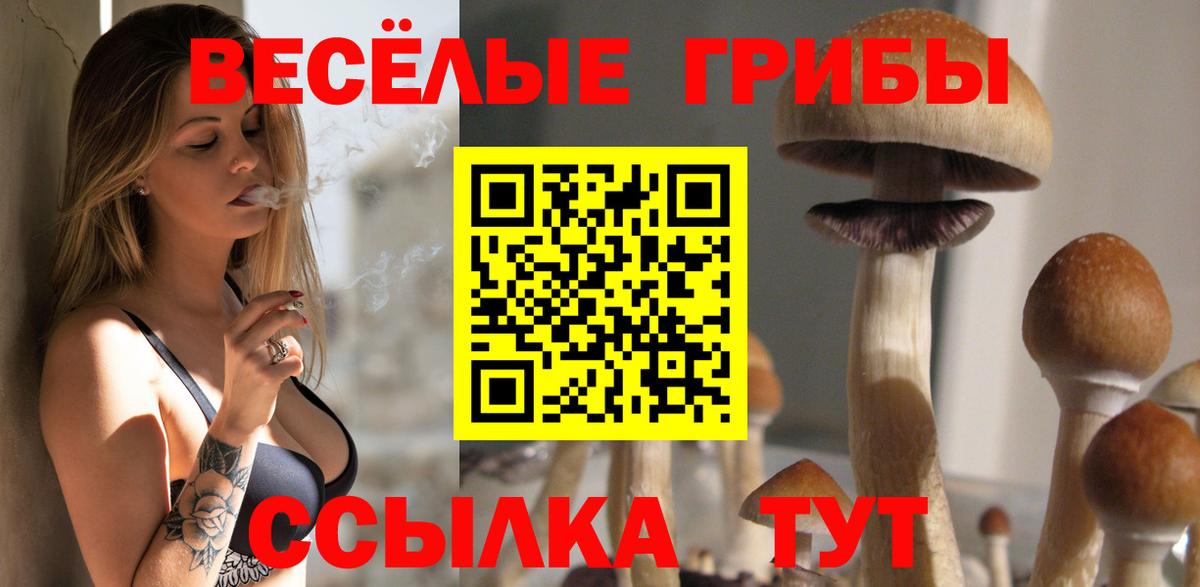Галлюциногенные грибы Magic Shrooms  как найти   Псилоцибиновые грибы ЛСД  Первоуральск  Вход с VPN 